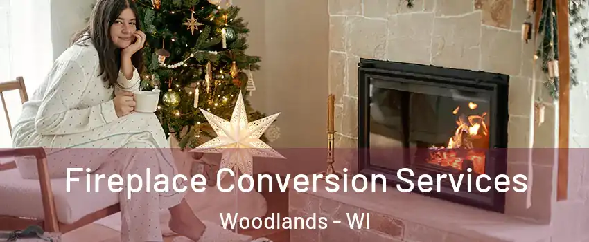 Fireplace Conversion Services Woodlands - WI