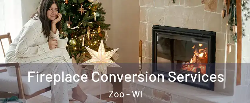 Fireplace Conversion Services Zoo - WI