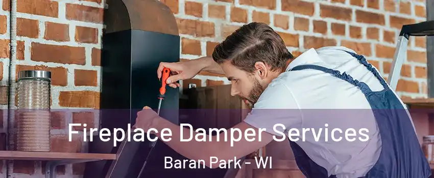 Fireplace Damper Services Baran Park - WI