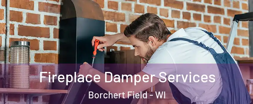 Fireplace Damper Services Borchert Field - WI