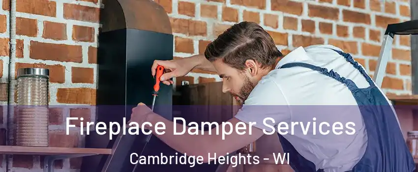 Fireplace Damper Services Cambridge Heights - WI