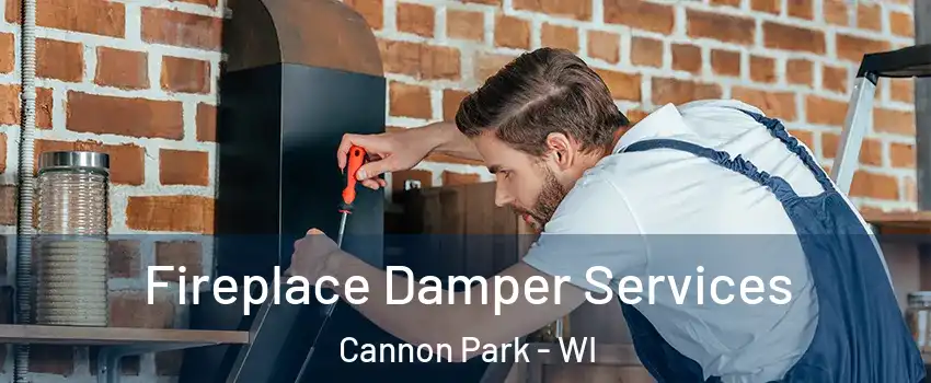 Fireplace Damper Services Cannon Park - WI