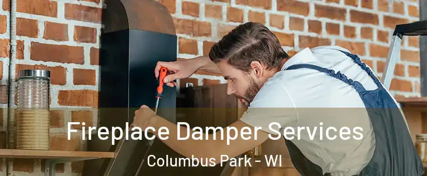 Fireplace Damper Services Columbus Park - WI