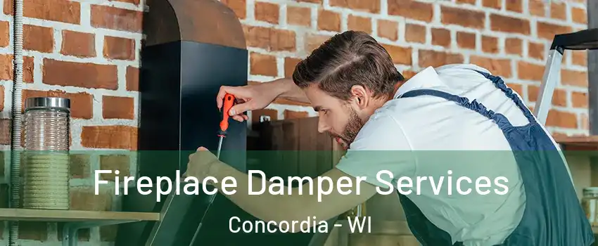 Fireplace Damper Services Concordia - WI