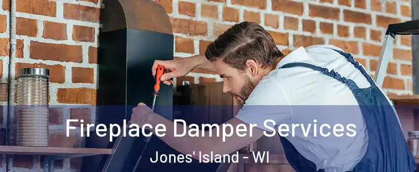 Fireplace Damper Services Jones' Island - WI