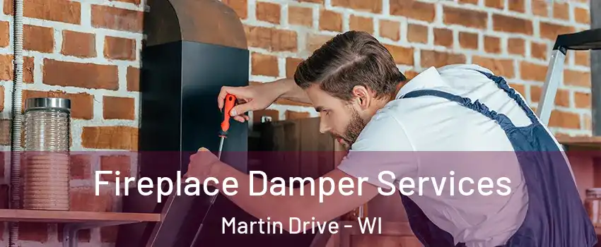 Fireplace Damper Services Martin Drive - WI