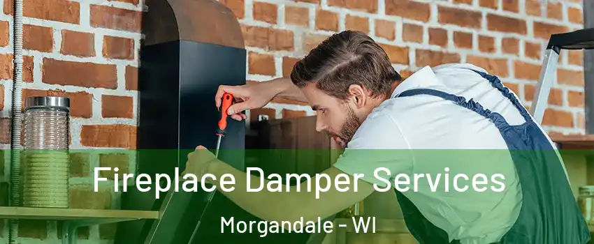 Fireplace Damper Services Morgandale - WI