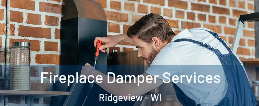 Fireplace Damper Services Ridgeview - WI