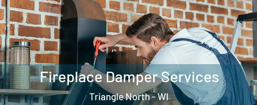 Fireplace Damper Services Triangle North - WI