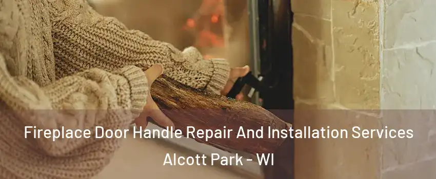 Fireplace Door Handle Repair And Installation Services Alcott Park - WI