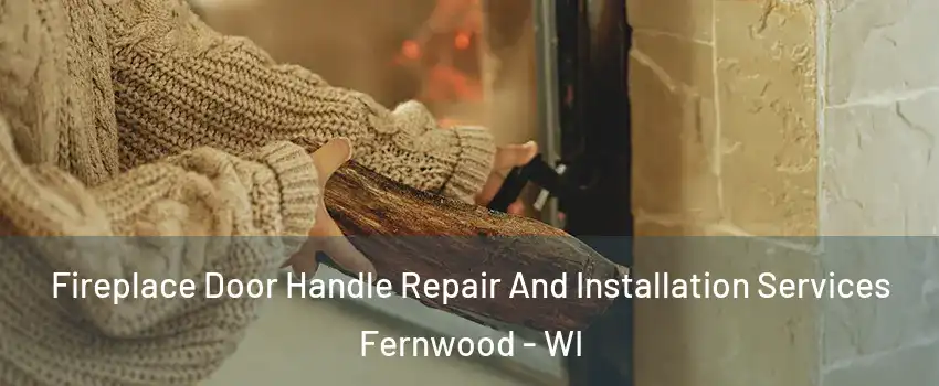 Fireplace Door Handle Repair And Installation Services Fernwood - WI