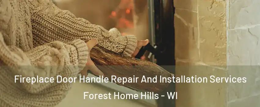 Fireplace Door Handle Repair And Installation Services Forest Home Hills - WI