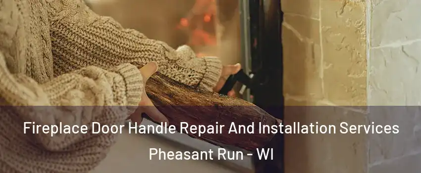 Fireplace Door Handle Repair And Installation Services Pheasant Run - WI