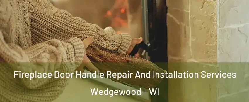 Fireplace Door Handle Repair And Installation Services Wedgewood - WI