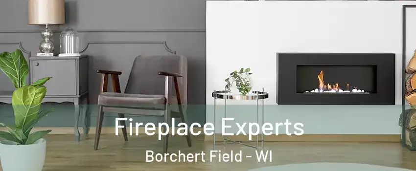 Fireplace Experts Borchert Field - WI