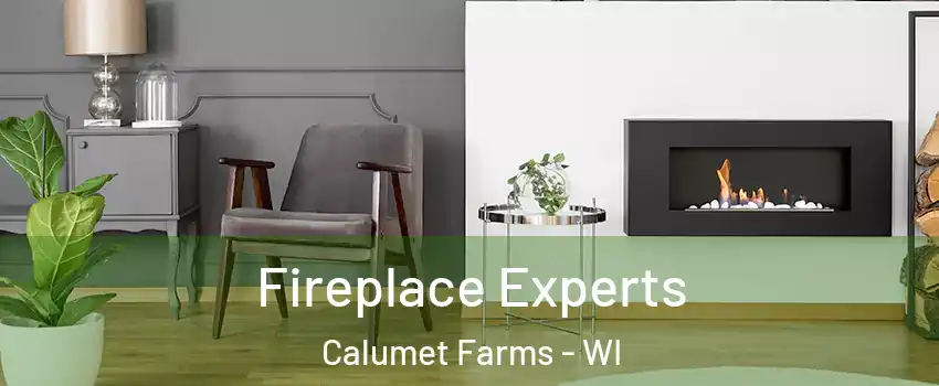 Fireplace Experts Calumet Farms - WI