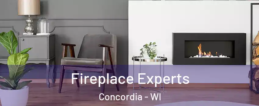 Fireplace Experts Concordia - WI