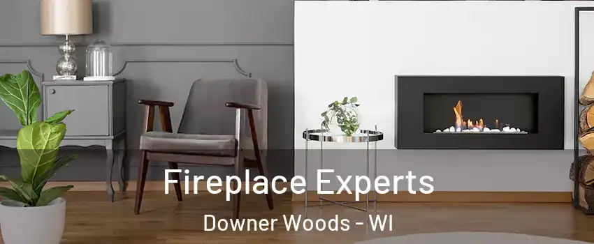 Fireplace Experts Downer Woods - WI