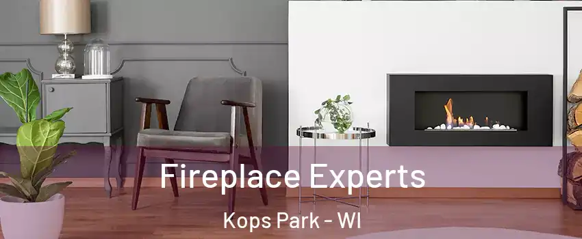 Fireplace Experts Kops Park - WI