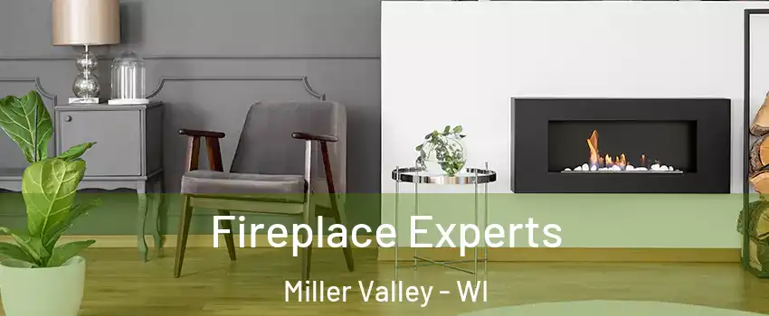 Fireplace Experts Miller Valley - WI