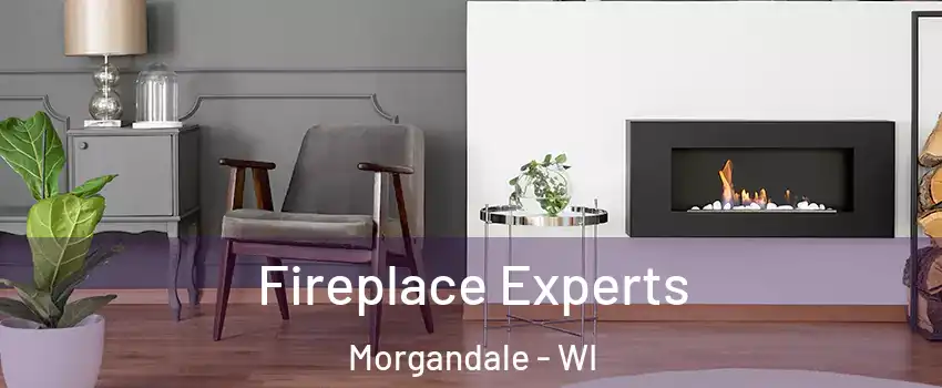 Fireplace Experts Morgandale - WI