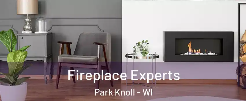 Fireplace Experts Park Knoll - WI