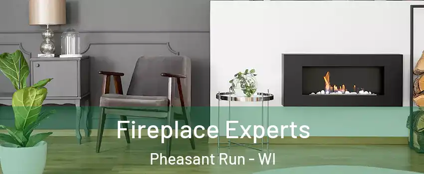 Fireplace Experts Pheasant Run - WI