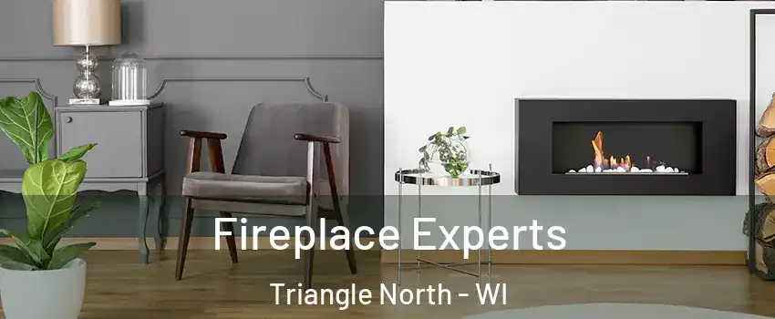 Fireplace Experts Triangle North - WI