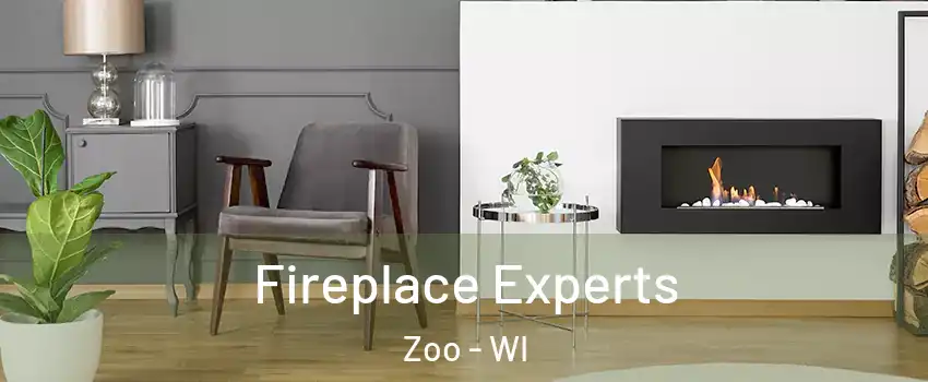 Fireplace Experts Zoo - WI