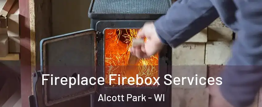 Fireplace Firebox Services Alcott Park - WI