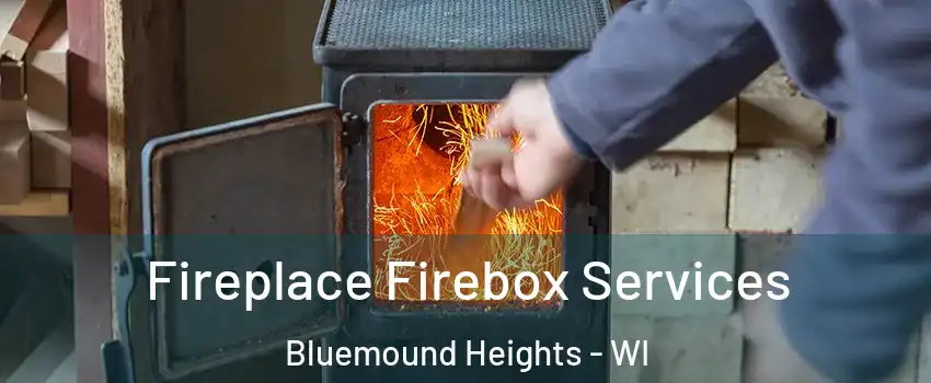 Fireplace Firebox Services Bluemound Heights - WI