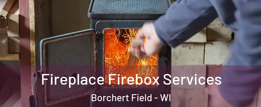 Fireplace Firebox Services Borchert Field - WI