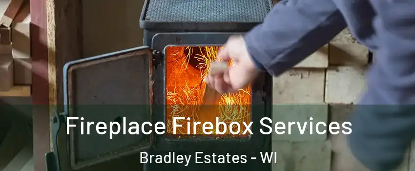 Fireplace Firebox Services Bradley Estates - WI