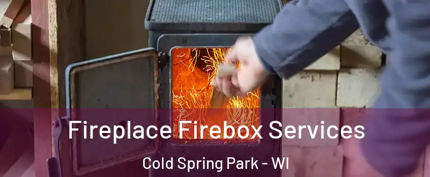 Fireplace Firebox Services Cold Spring Park - WI