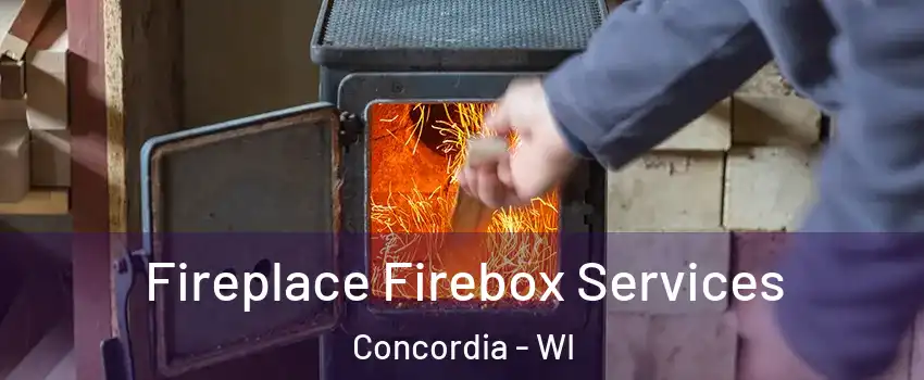 Fireplace Firebox Services Concordia - WI