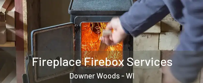 Fireplace Firebox Services Downer Woods - WI