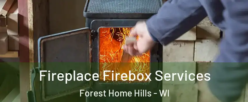 Fireplace Firebox Services Forest Home Hills - WI