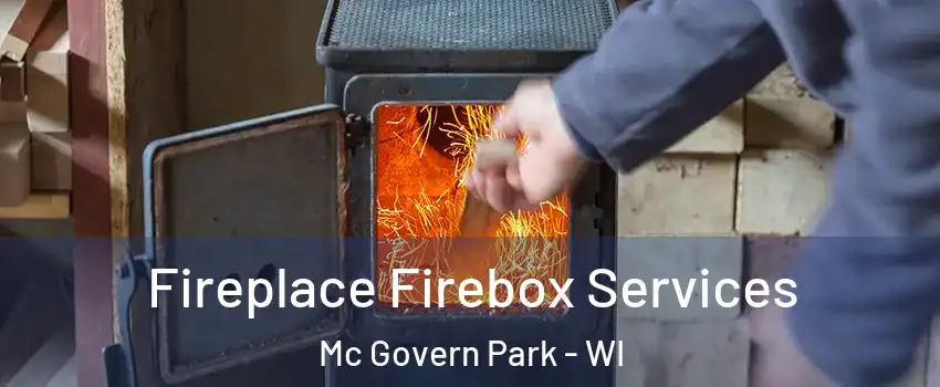 Fireplace Firebox Services Mc Govern Park - WI