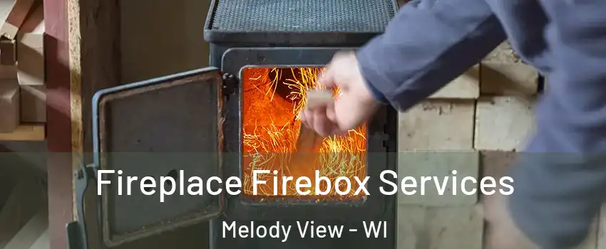 Fireplace Firebox Services Melody View - WI