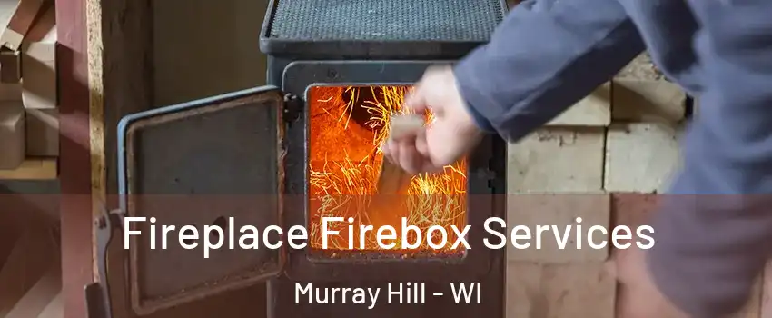 Fireplace Firebox Services Murray Hill - WI