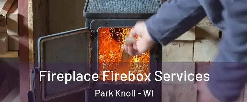 Fireplace Firebox Services Park Knoll - WI