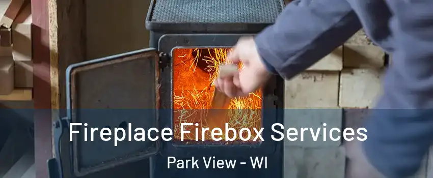 Fireplace Firebox Services Park View - WI