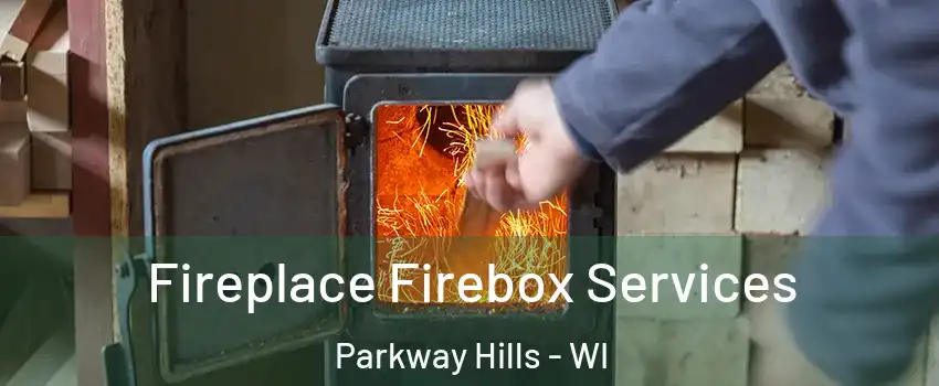 Fireplace Firebox Services Parkway Hills - WI