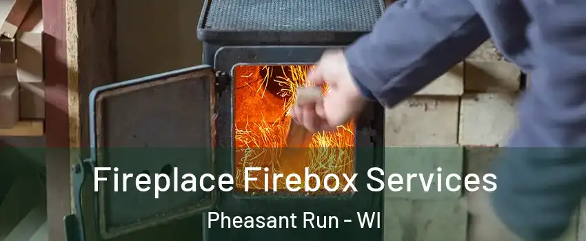 Fireplace Firebox Services Pheasant Run - WI