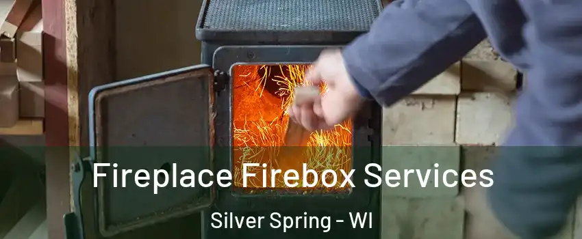 Fireplace Firebox Services Silver Spring - WI