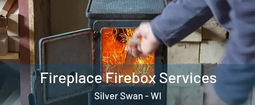 Fireplace Firebox Services Silver Swan - WI