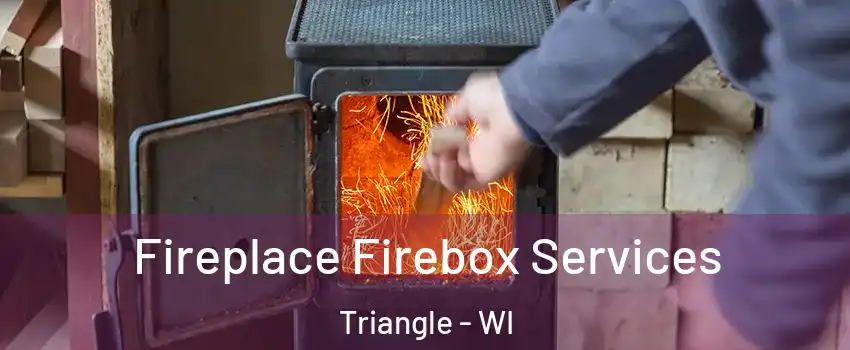 Fireplace Firebox Services Triangle - WI