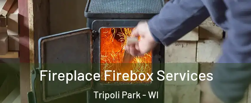 Fireplace Firebox Services Tripoli Park - WI