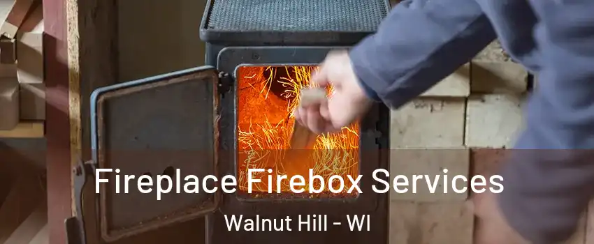 Fireplace Firebox Services Walnut Hill - WI