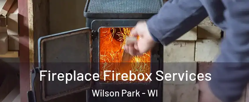 Fireplace Firebox Services Wilson Park - WI